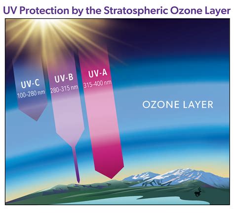 the thickness of stratospheric ozone layer is measured in|Ozone layer .